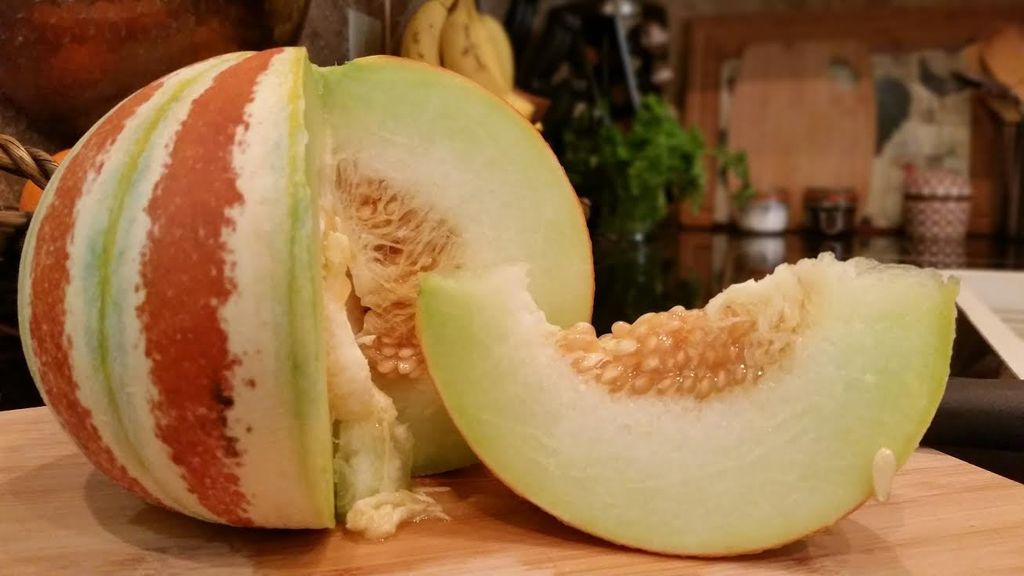 Information About Kajari Melons Gardening Know How