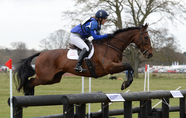 HorseNo327_Belton15pn_7760.jpg