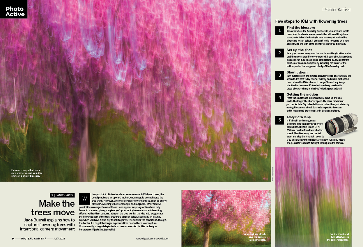 Image showing project 9 of the Photo Active projects section in issue 296 (July 2025) of Digital Camera magazine, explaining how to take photographs of trees using the intentional camera movement technique