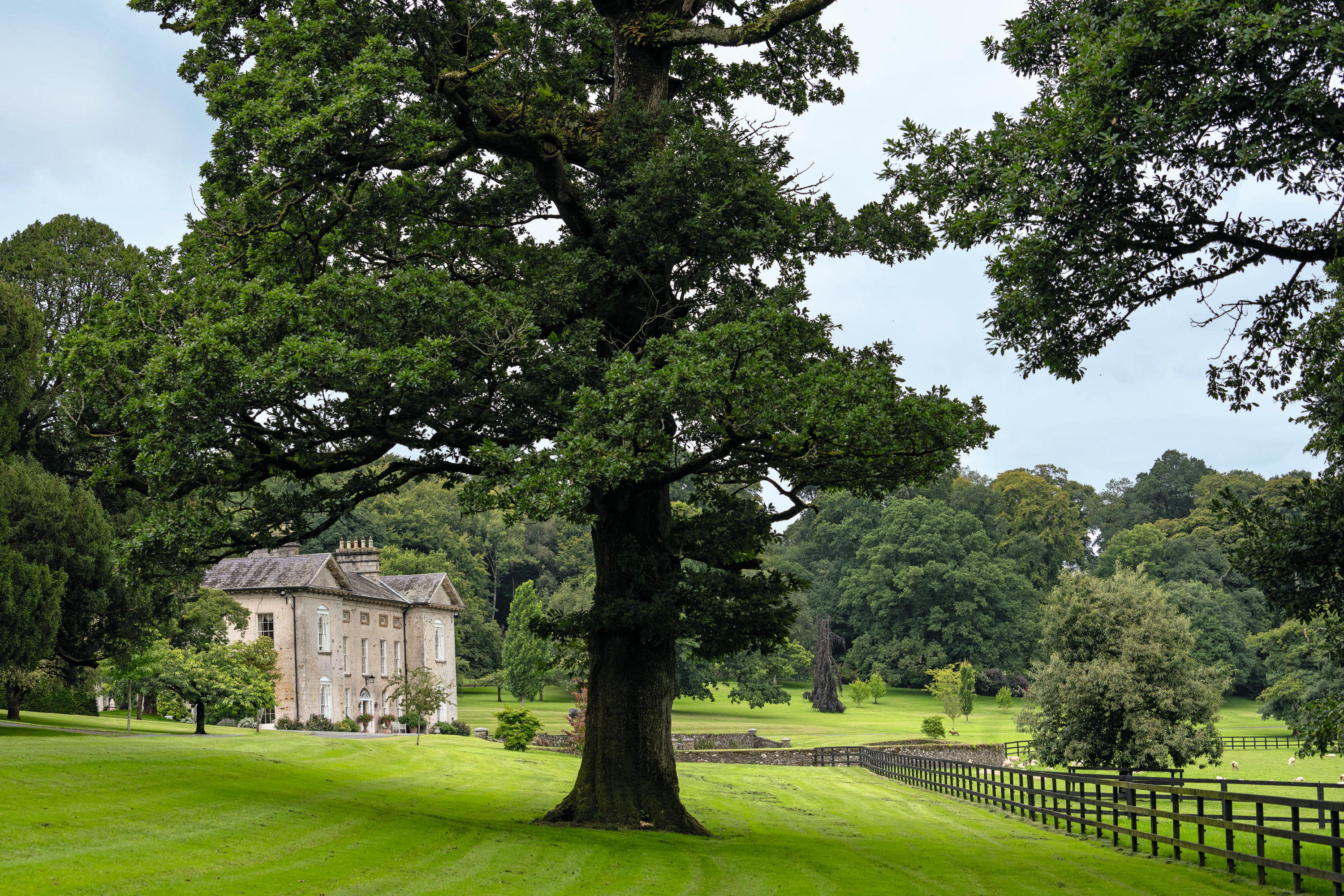 The garden at Ballynure House