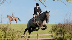 Molly-Austen-Cottesmore-457.jpg