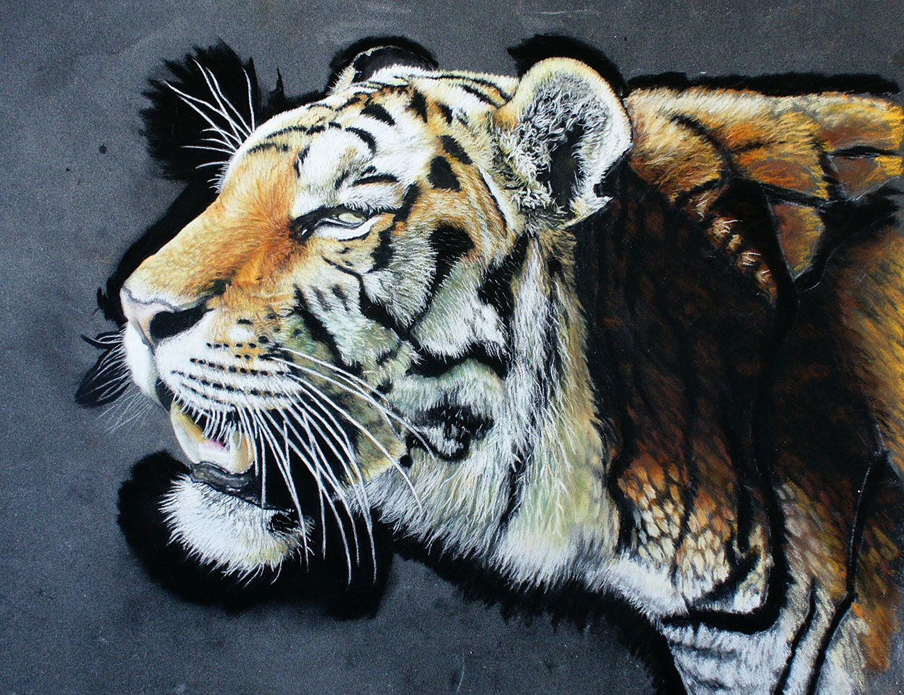 tiger painting with contrast added