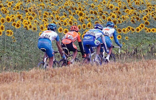 A wet summer in France between the wheat and the sun flower fields.
