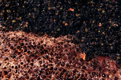 Fermenting red grapes, maceration