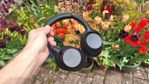 Sony ULT Wear over-ear headphones in hand against backdrop of flowerbed