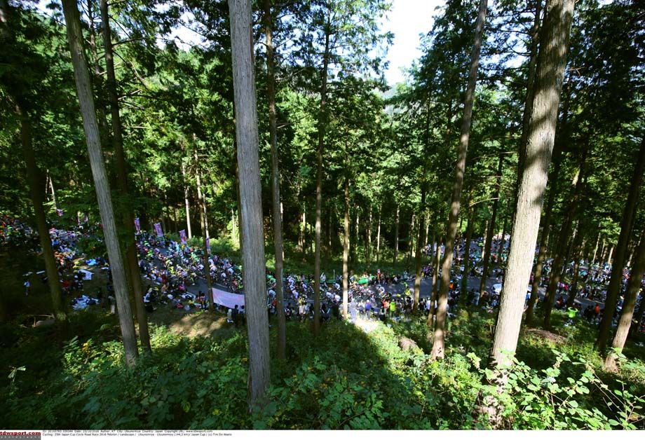 Through the forest