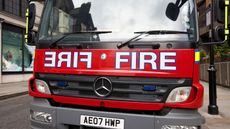 fire-brigade-horse-rescue-alamy-CBEA3F.jpg
