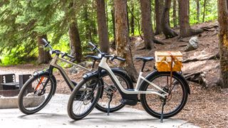 Serial 1 Rush/Cty eBike on a trail