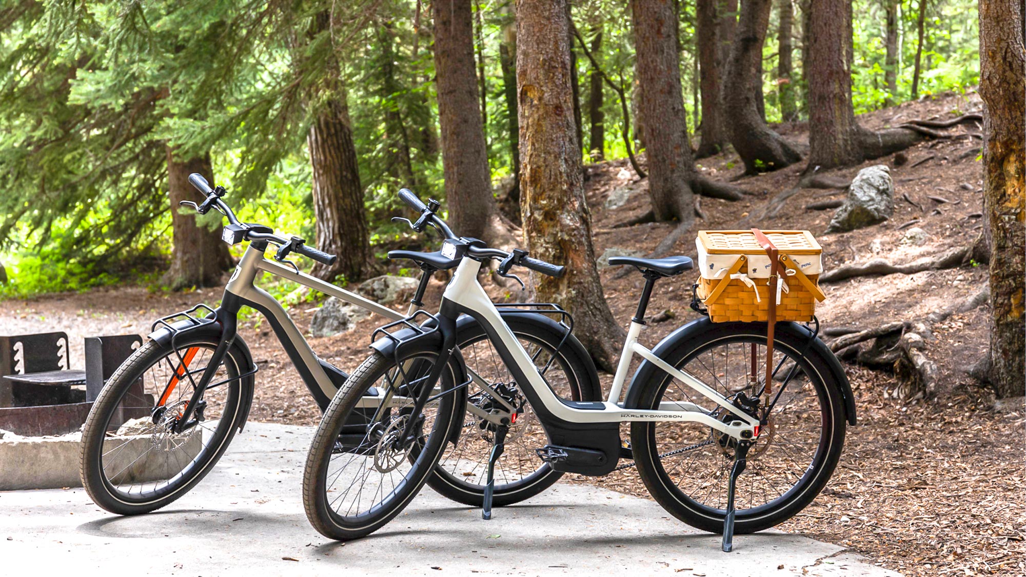 alignment Misery Paternal Serial 1 Rush/Cty eBike review: A Harley for electric bikes | Tom's Guide