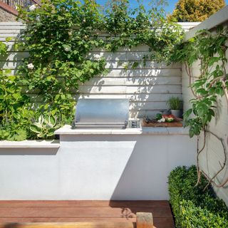balcony with white walls wooden flooring and green plants