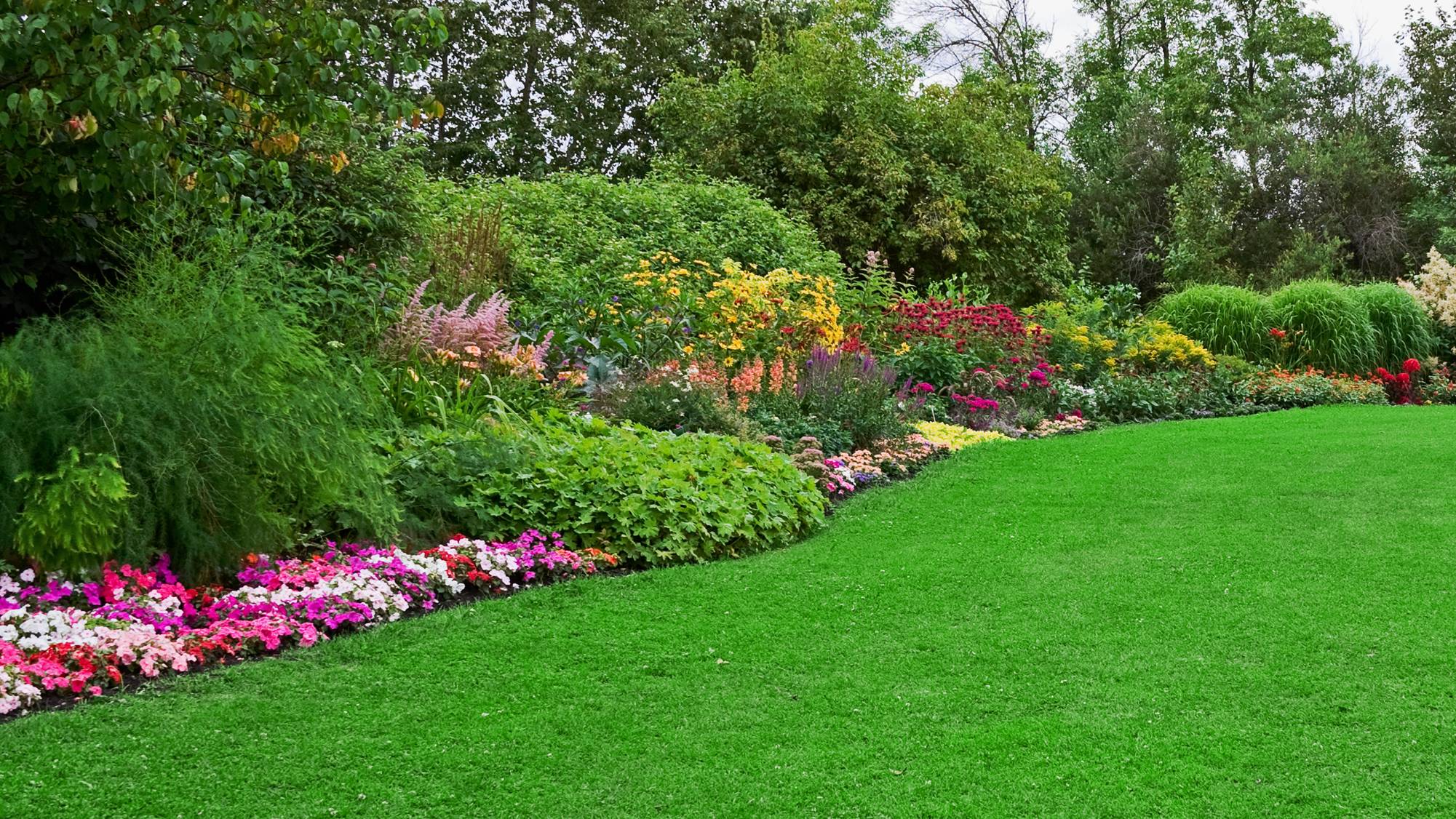 A green lawn and flower bed separated by edging