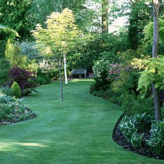 Lush green lawn curving around beds of trees and mature shrubs