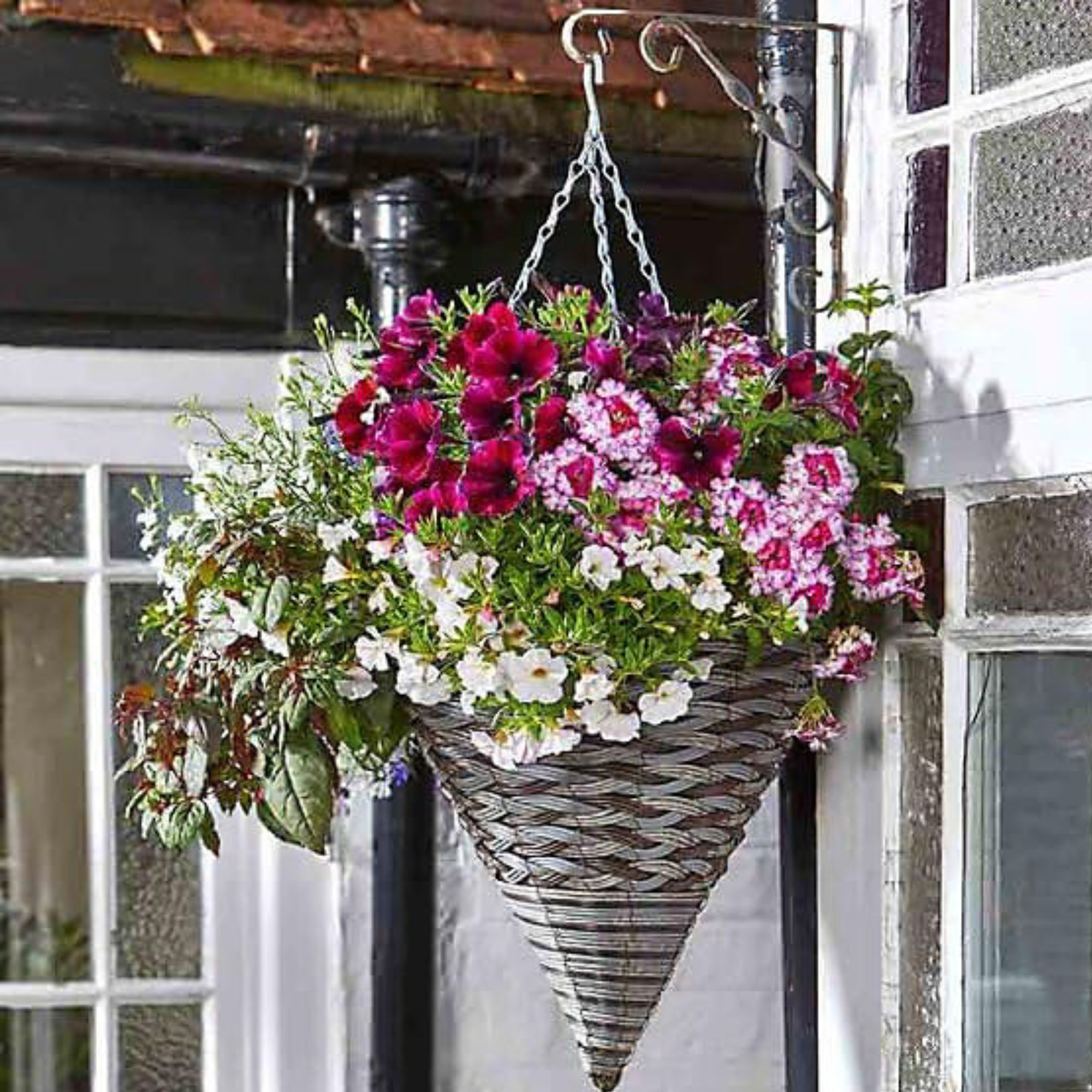 B&amp;amp;Q hanging basket