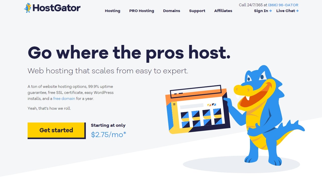 Web hosting