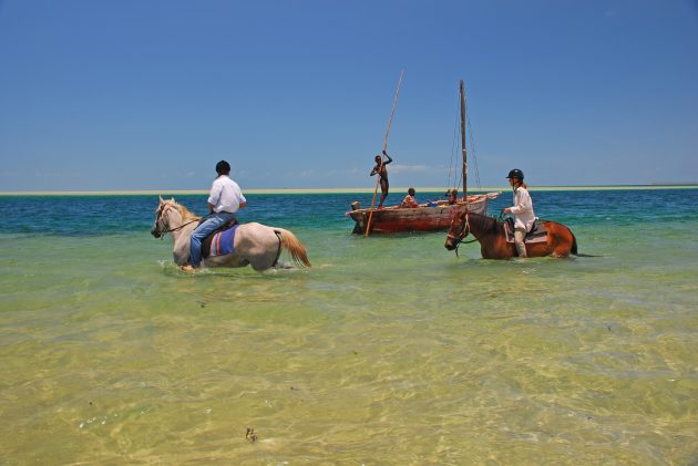 1-e1491904076209.jpg