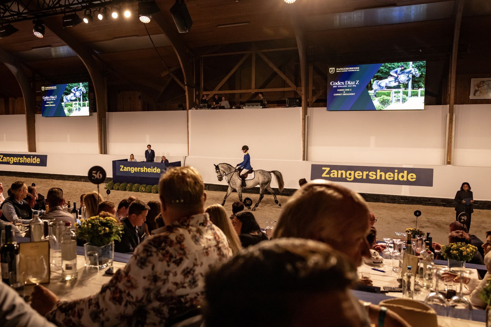 Codex Diaz Z sells for &euro;1,000,000 at Zangersheide jumping auction