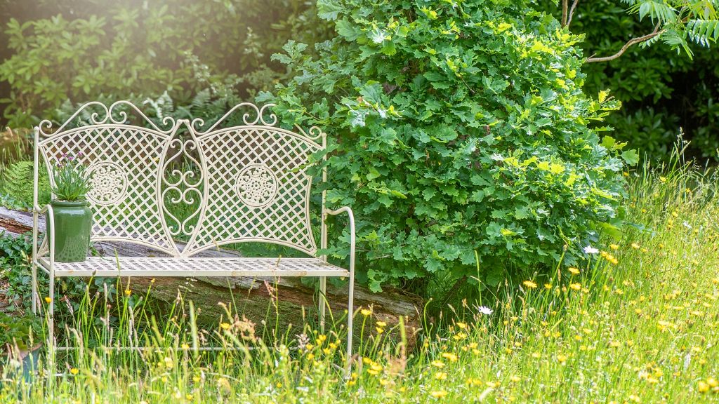 A bench in a garden