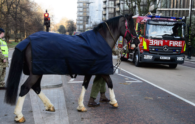 HouseholdCavalry.jpg
