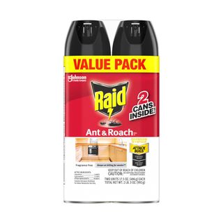 Raid® Ant & Roach Killer Spray