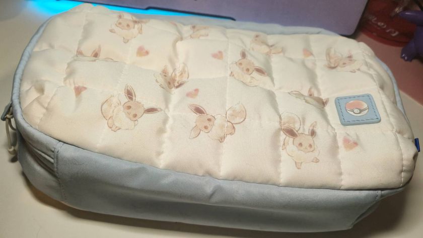 Photo of the Eevee Cottage Core Switch 2 pouch on a white desk.