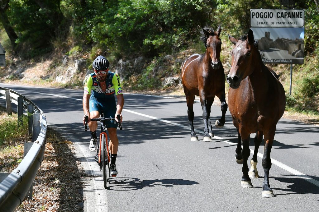Riccardo Stacchiotti of Italy and Team Vini Zabu' KTM / Horses / Poggio Capanne Village / during the 55th Tirreno-Adriatico 2020, Stage 3