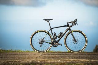 The new Cannondale Synapse will be available in a wide range of models