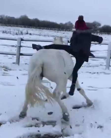 Gracie Tyte — “This is my 17-year-old pony, Danny, having a little bit too much fun in the snow”