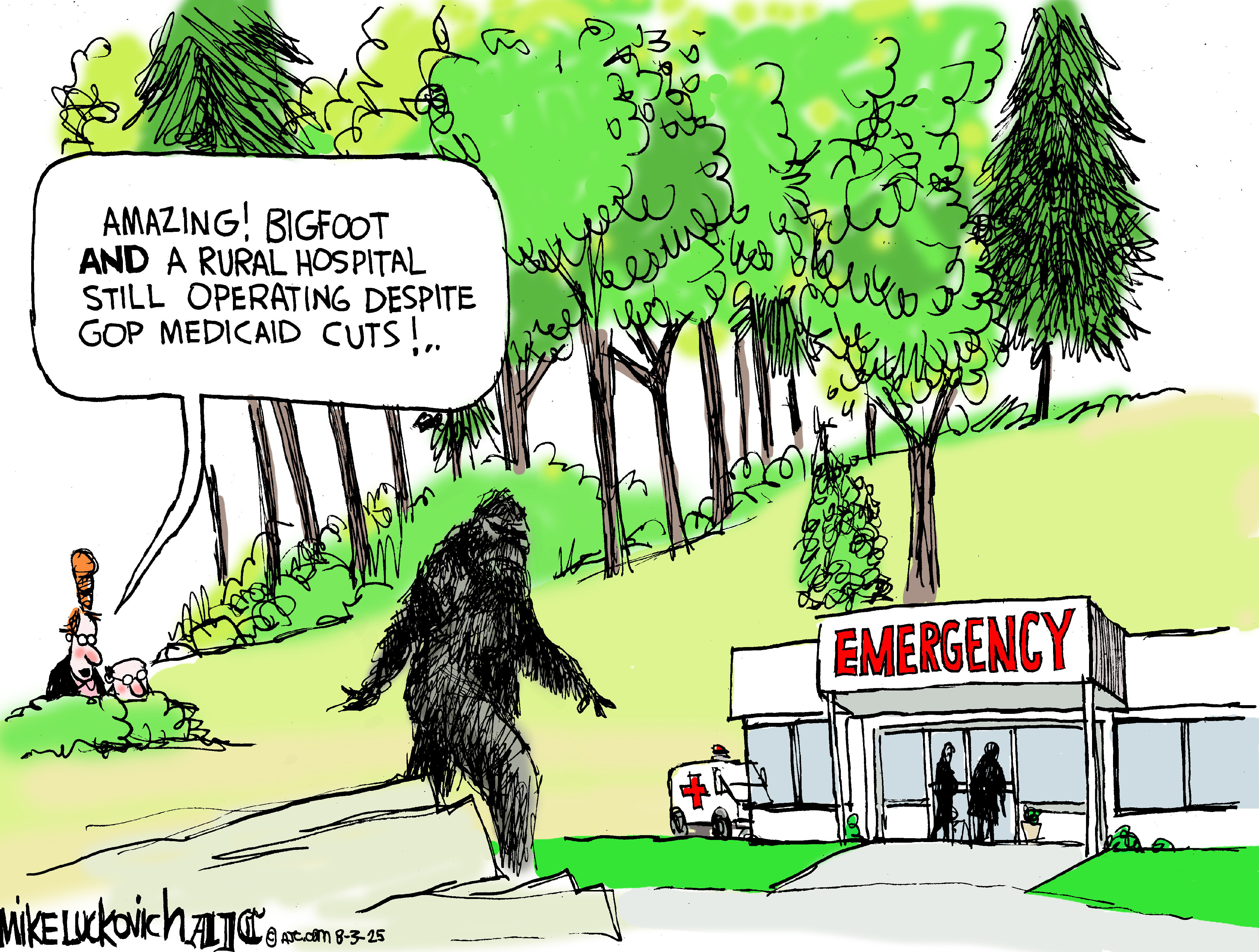 Political Cartoon