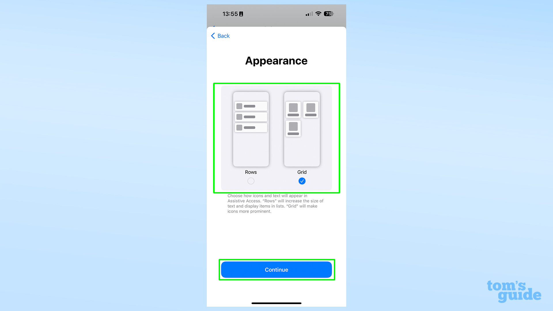 Снимок экрана, показывающий экран выбора макета в вспомогательном доступе в iOS 17.