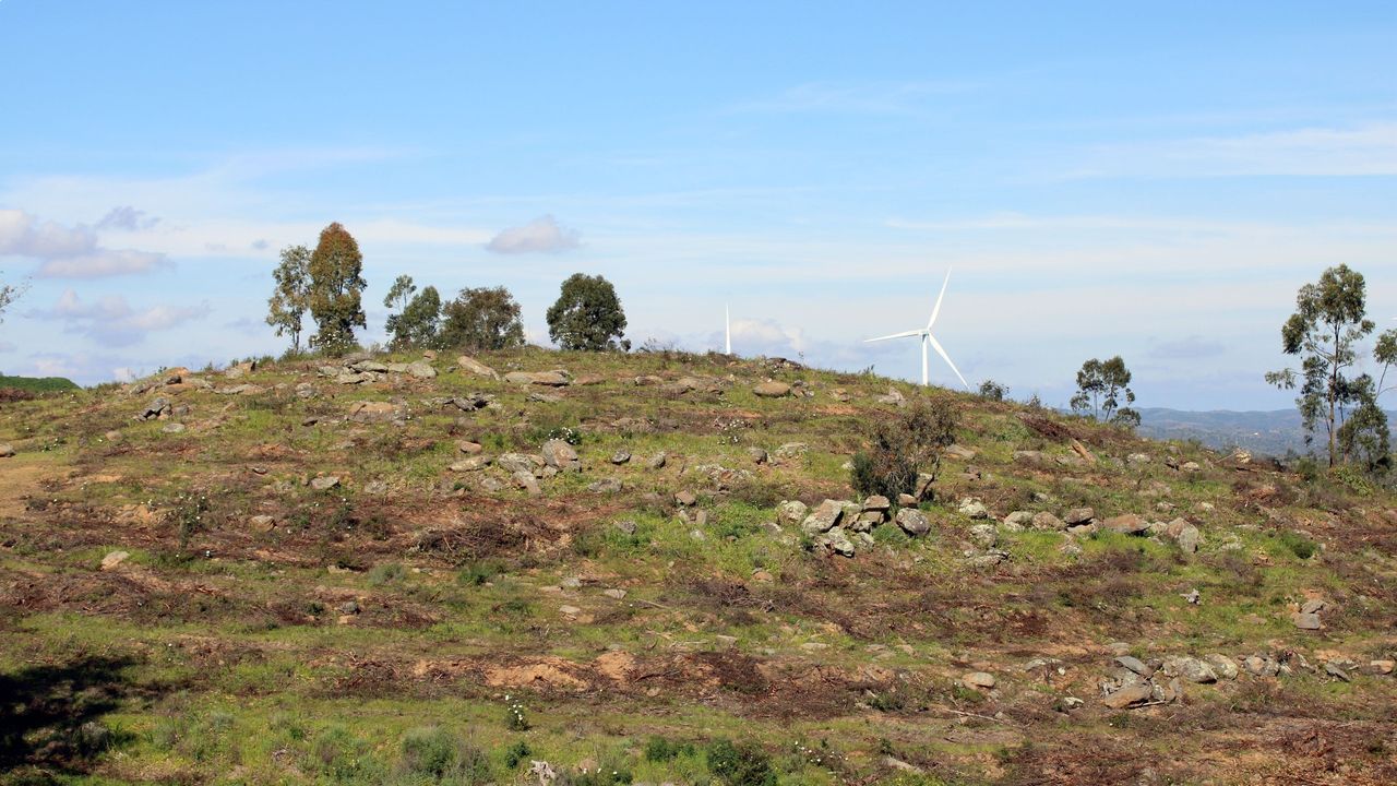 Photo of grassy hilltop at La Torre-La Janera, Spain. It is mainly a grassy hill, with about 6 trees. In the background you can see a blue sky with some wispy clouds and some wind turbines.