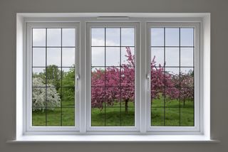 double glazed window looking out onto orchard