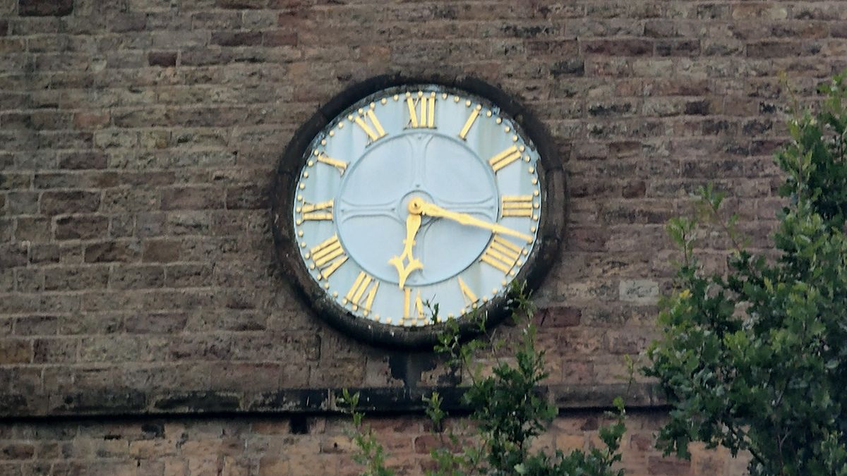 Oppo Reno 10x Zoom camera sample