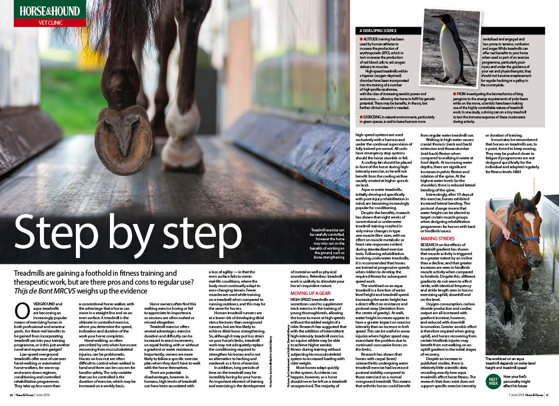 VET-2PP-7-6-Treadmills.jpg