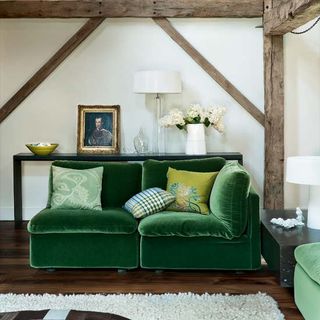 green sofa with carpet