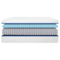 Kiwi Sleep Mattress: $1,624 $1,088 at Kiwi Sleep