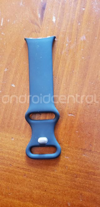 google pixel watch live images