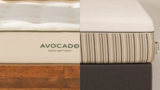 A close up of the edge of the Avocado Green mattress directly next to the edge of the Essentia Stratami mattress