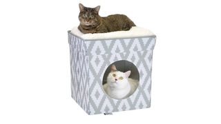 cute cat bed