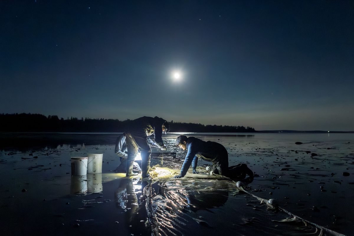 Biological researchers working at shore of waterway during night.