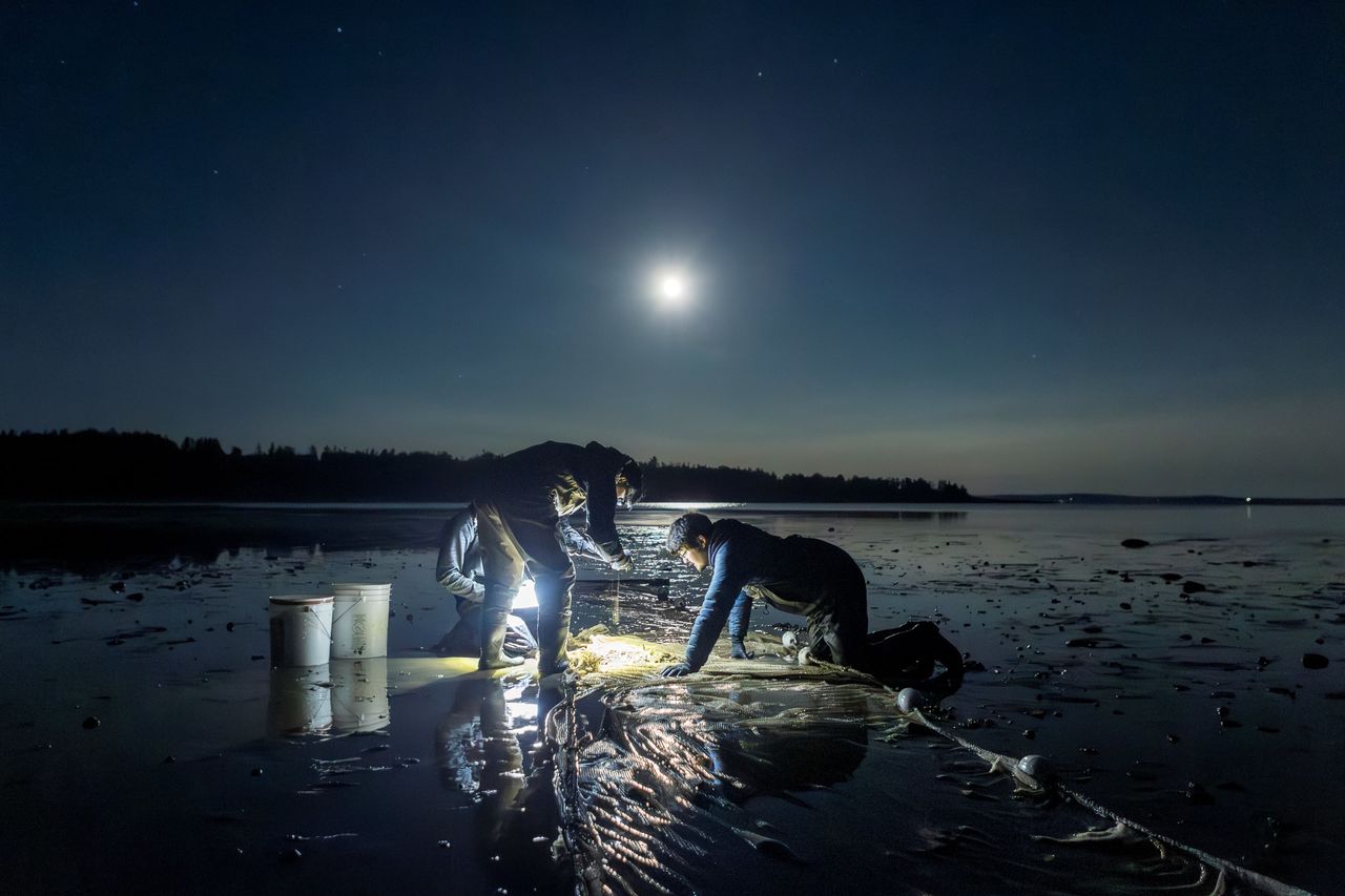 Biological researchers working at shore of waterway during night.