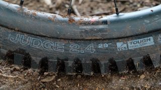 Close up of a WTB Judge rear tyre fitted to a MTB wheel