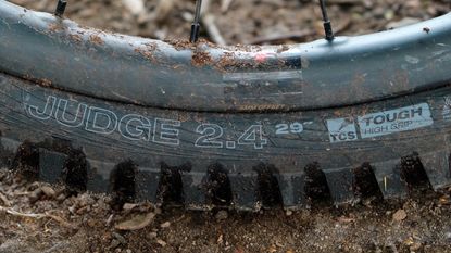 Close up of a WTB Judge rear tyre fitted to a MTB wheel