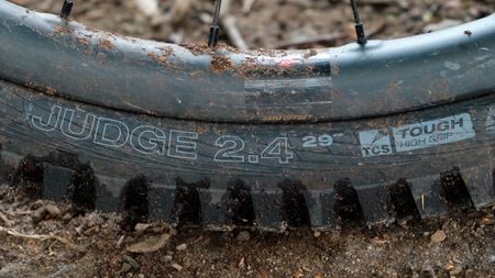 Close up of a WTB Judge rear tyre fitted to a MTB wheel