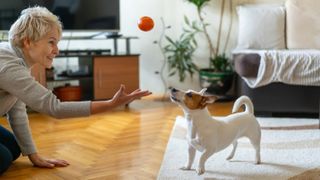 Woman playing with dog