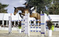 Pau-2017-Sarah-Bullimore-e1509298725822.jpeg