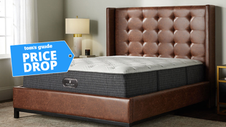 The Ritz-Carlton mattress in a brightly lit room