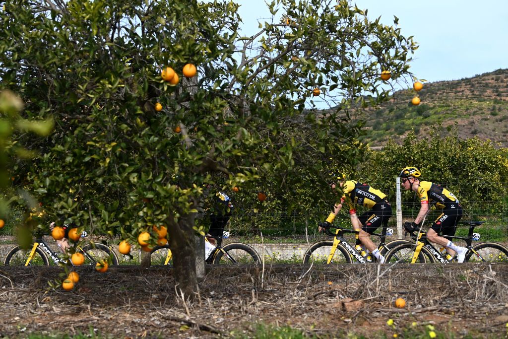 TAVIRA PORTUGAL FEBRUARY 17 Detail view of Sam Oomen of The Netherlands and Team Jumbo Visma passing through and orange trees field during the 49th Volta ao Algarve em Bicicleta 2023 Stage 3 a 2031km stage from Faro to Tavira VAlgarve2023 on February 17 2023 in Taviria Portugal Photo by Tim de WaeleGetty Images