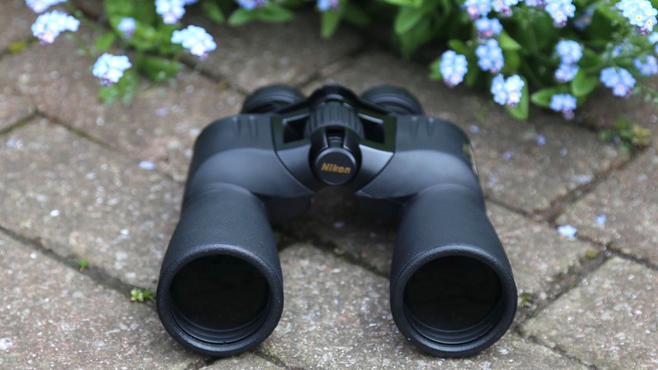 Nikon Action EX 12x50 binoculars