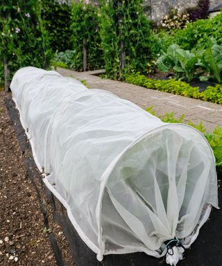how to protect your plants from snow with a fleece tunnel