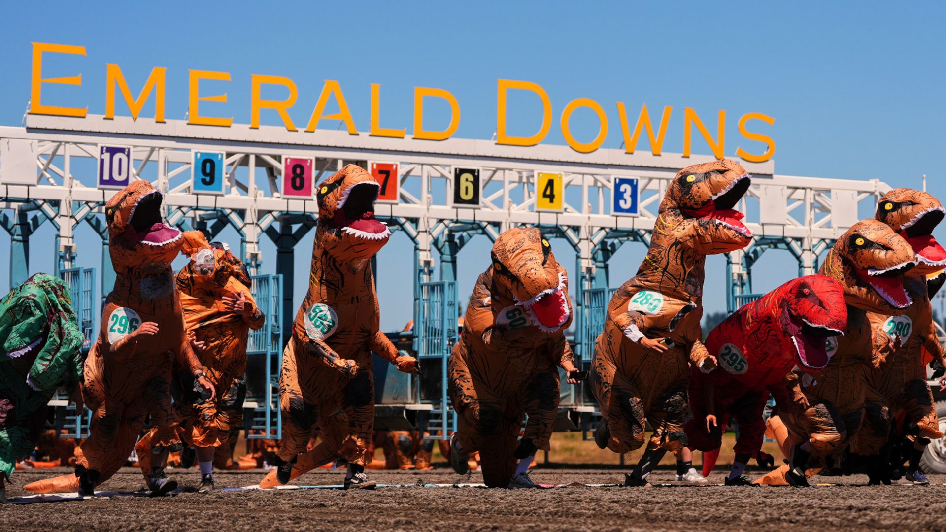 
                                Contestants take off during a preliminary heat at the T-Rex World Championship Races in Auburn, Washington
                            